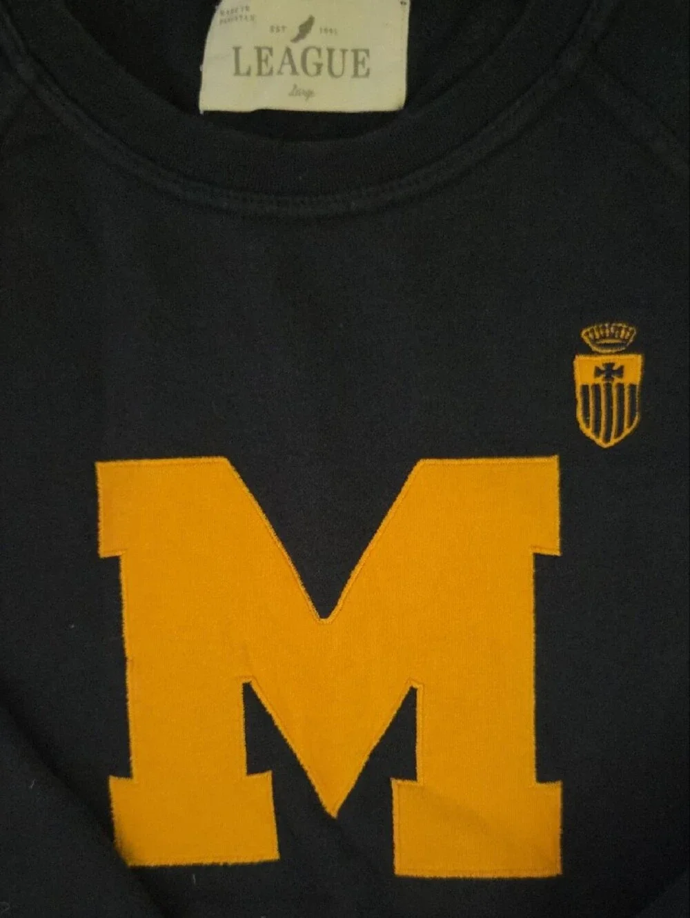 Michigan Sweatshirt in Navy with Maize, L
